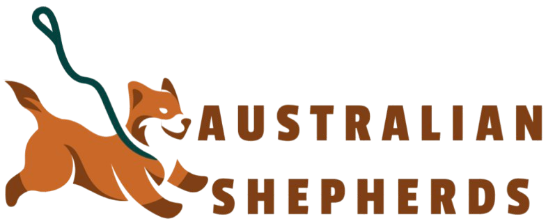Australian Shepherd